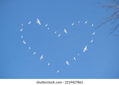 White Doves Flying In The Blue Sky. Dove Of Peace, Symbol. Heart Shape Frame