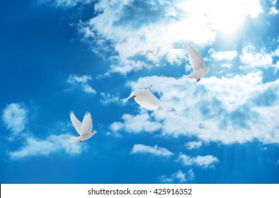 Dove Cloud Images, Stock Photos & Vectors | Shutterstock