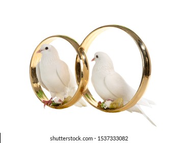 White doves sit wedding rings isolated on a white background.