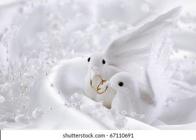 White doves with wedding rings