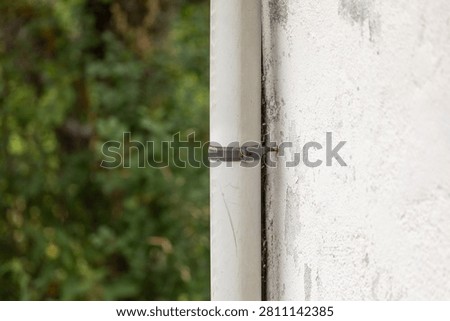 A white drainpipe secured by a rusted clamp runs down a weathered wall beside blurred green foliage.