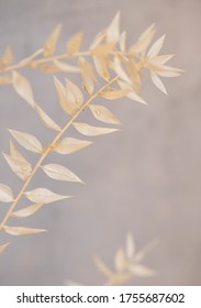 White Dried Flowers On Grey Background Close Up. Dry Flower.