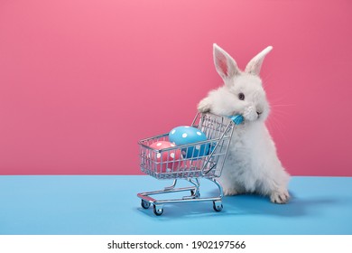 White Easter bunny rabbit with shopping basket and painted eggs on blue and pink background - Shutterstock ID 1902197566