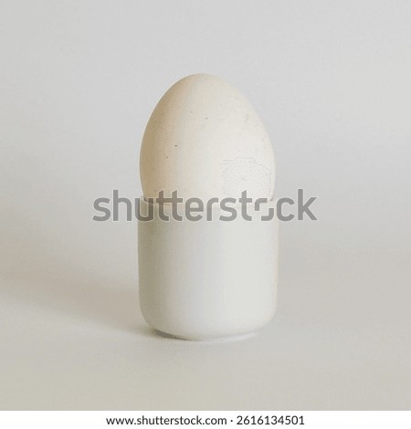 A white egg in a white eggcup with a white background.