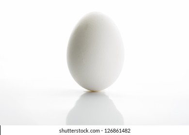 White Egg Isolated On White Background