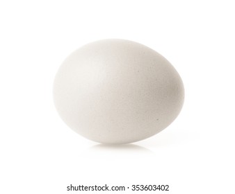 White Egg Isolated On White Background