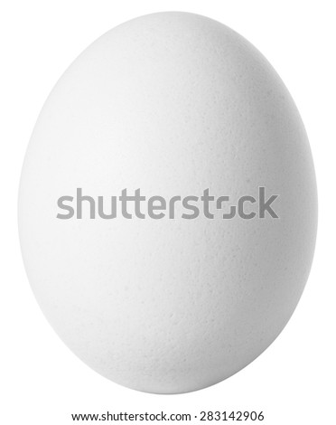 White egg isolated on white background with clipping path included.