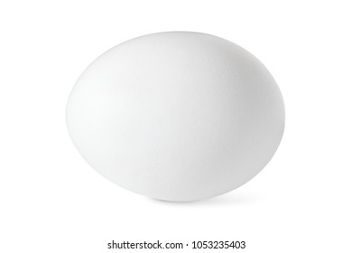 White Egg On White Background. Isolated.