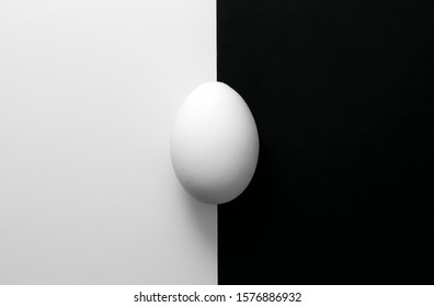 White Egg On Black And White Background. Monochrome Photography