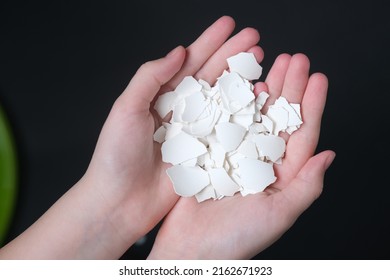 White Egg Shell Chopped Into Small Pieces Is On Young Girl Palms. The Source Of Natural Calcium For Healthy Nutrition.