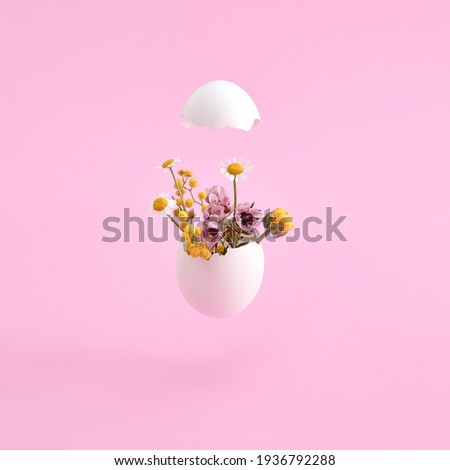 White egg and spring flowers. Easter minimal on pink background. Happy easter, spring or summer, food concept