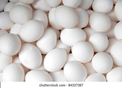 Lot Of White Eggs  On White.