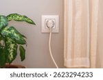 White electrical plug inserted into wall socket next to curtain and potted plant, providing a simple yet essential element of modern living and energy consumption