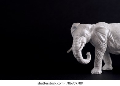 white elephant on black background with room for type. perfect for white elephant sale