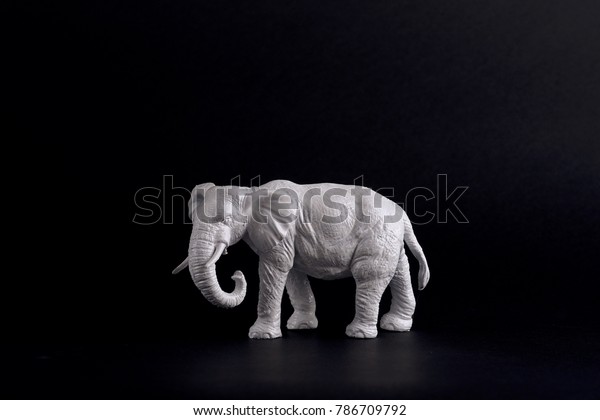White Elephant On Black Background Room Stockfoto Jetzt