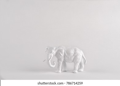 white elephant on plain background with room for type. perfect for white elephant sale
