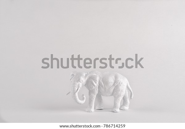 White Elephant On Plain Background Room Stock Photo Edit