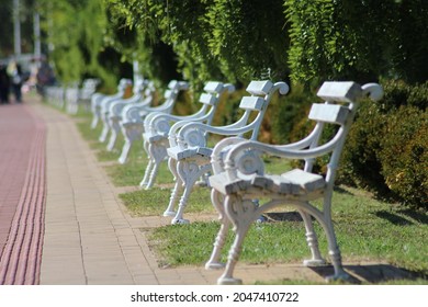 white empty benches in a row