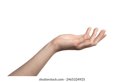 White empty hand of woman, female gesture. Isolated arm hold palm, open finger up take sign. Give business showing human object, side close young wrist. Space women, one right detail catch clear help. - Powered by Shutterstock