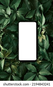 White empty mobile phone screen template mockup for product app ads on green leaves nature organic cosmetic flat lay background, trendy stylish minimalist flatlay vertical backdrop. Smartphone mock up - Shutterstock ID 2194843241