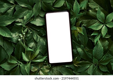 White empty mobile phone screen template mockup for product app ads concept on green leaves nature organic cosmetic flat lay background, trendy stylish minimalist flatlay backdrop. Smartphone mock up