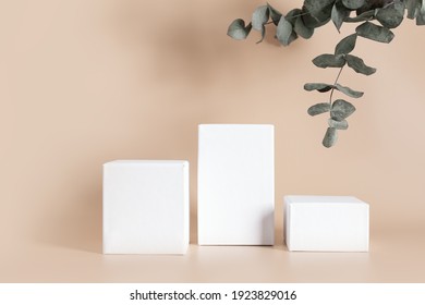 White empty stands on light color background decorated eucalyptus leaves. Blank podiums shopfront. Showcase for cosmetic or beauty promotions. Product display advertisement. Copy space.