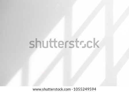 White empty wall with window shadow , perspective