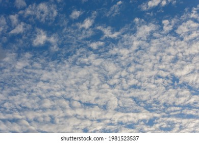 White Evening Altocumulus Clouds On Blue Sky Full Frame Background