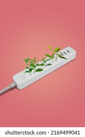 White Extension With Plants Inside. Electrical Power White Strip Or Extension Block With Sockets On Pink Background. Close Up. Eco Concept. Alternative Energy. Turn Off Electronics. 