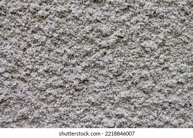 White Exterior Plaster, Spray Texture, Coarse Texture, Yellow Rough Plaster