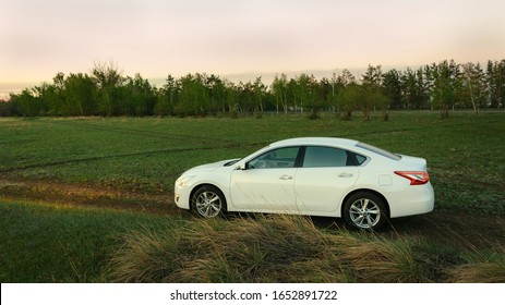 White Family Sedan In Nature On Field With Grass  