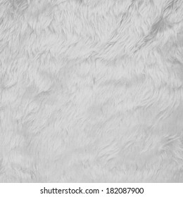 White Faux Fur Texture Background Fragment