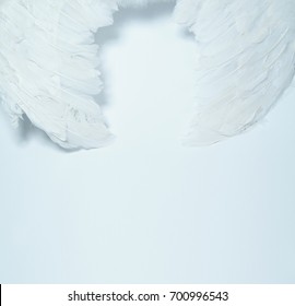 White Feather. White Angel Wing.