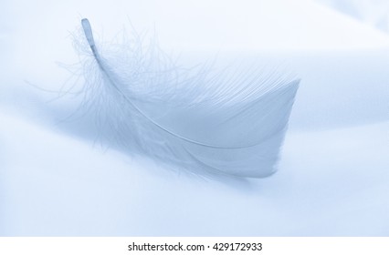 58,596 Many feathers Images, Stock Photos & Vectors | Shutterstock