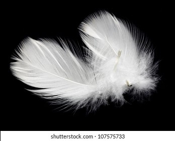 621,698 White feather black background Images, Stock Photos & Vectors ...