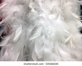 White Feather Boa