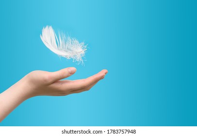Weiße Feder, die auf blauem Hintergrund auf die weibliche Hand fällt. Konzept der Leichtigkeit und Sauberkeit.