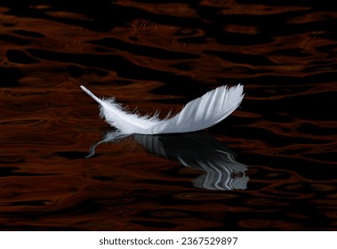 A white feather floating in a body of water with brown and black ripples. - Powered by Shutterstock