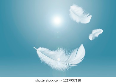 70,900 Feathers floating Images, Stock Photos & Vectors | Shutterstock