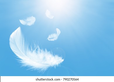 White feather floating in the sky - Shutterstock ID 790270564