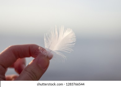 14,959 Soft hand feather Images, Stock Photos & Vectors | Shutterstock