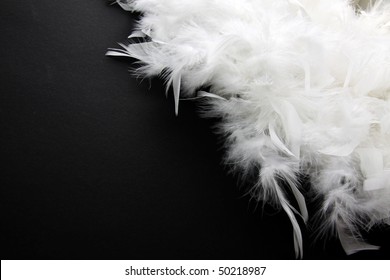  White feather on black background - Shutterstock ID 50218987