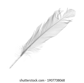 White Feather, Quill Isolated On White Background With Clipping Path