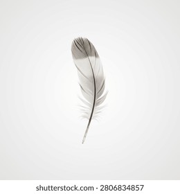 White feather with soft texture and visible qu (2040