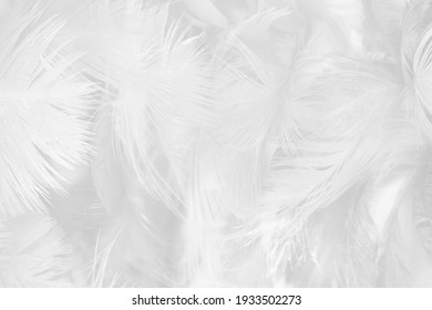 white feather wooly pattern texture background - Shutterstock ID 1933502273