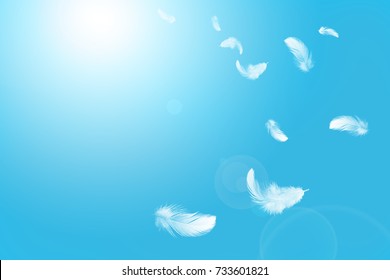 White feathers floating in the sky