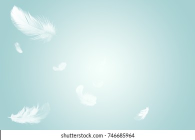 White feathers floating in the sky