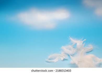 White Feathers Isolated On A Blue Sly Background.