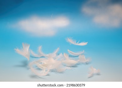 White Feathers Isolated On A Blue Sly Background.