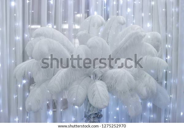 White Feathers On Vase Decorating Wedding Stock Photo Edit Now